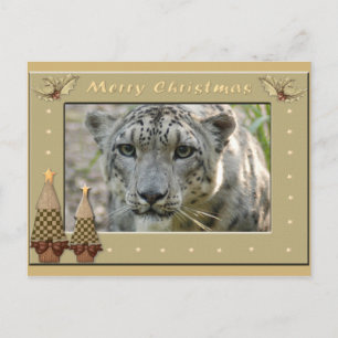 Cartão Postal Cópia Snow Leopard-BCR-c-158