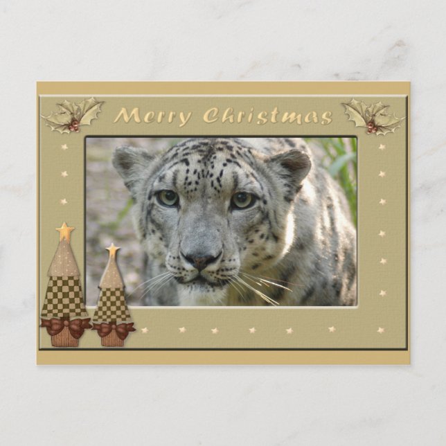 Cartão Postal Cópia Snow Leopard-BCR-c-158 (Frente)