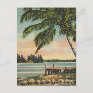 Cartão Postal Coqueiro Antigo Brisa Tropical Pôr do Sol