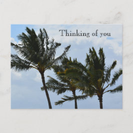 Cartão Postal Coqueiros Kauai Havaí