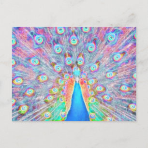 Cartão Postal Cor Brilhante *Peacock* Spirit Design