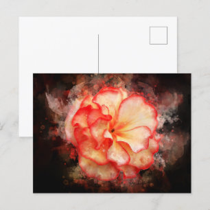 Cartão Postal Cor da água da flor da Begónia - bb3