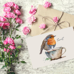 Cartão Postal Cor da Água do Pássaro Laranja Robin
