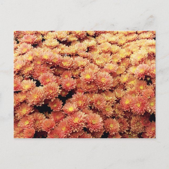 Cartão Postal Cor da ferrugem (Frente)