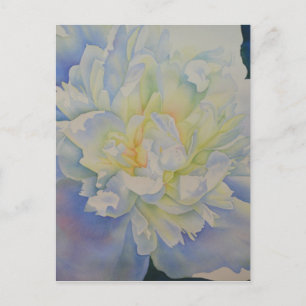 Cartão Postal Cor de água floral de pénia branca Elegante