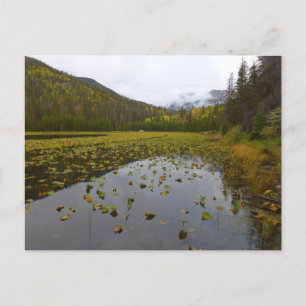 Cartão Postal Cor de queda no lago de Cub