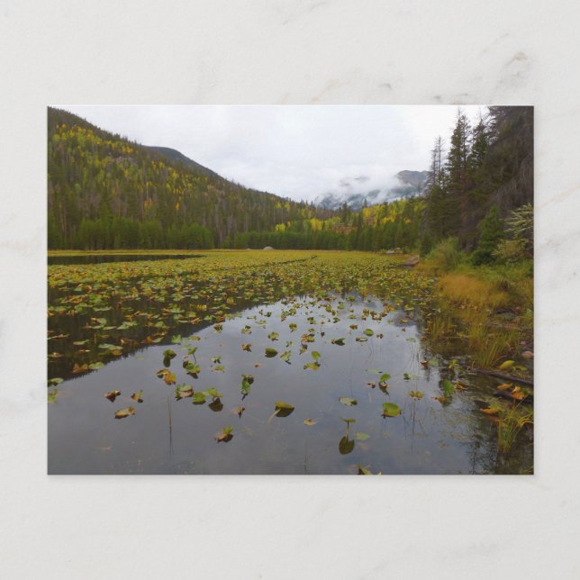 Cartão Postal Cor de queda no lago de Cub (Frente)