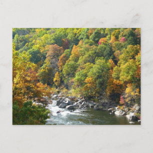 Cartão Postal Cor de queda no Parque Estadual de Ohiopyle