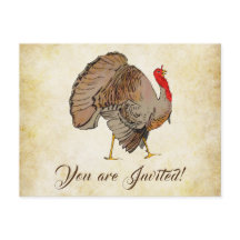 Cor do Cheio Cinto Turquia