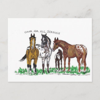 Cartão Postal Cor Para Todas as Estações