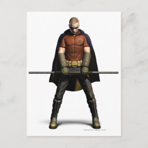 Cartão Postal Cor Robin