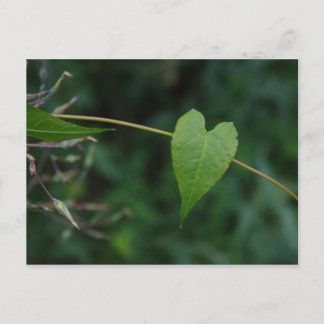 Cartão Postal coração