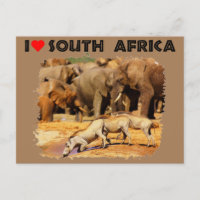 Coração África do Sul, warthogs e elefantes
