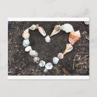 Cartão Postal coração das conchas marítimas