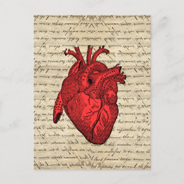 Cartão Postal Coração de colheita vermelha (Frente)