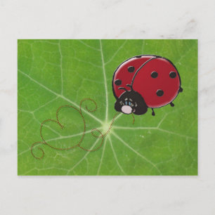 Cartão Postal coração de senhora