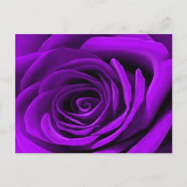 Cartão Postal Coração De Um Rosa Roxo (Frente)