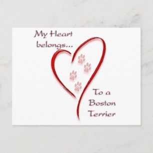 Cartão Postal Coração do Boston Terrier Pertence