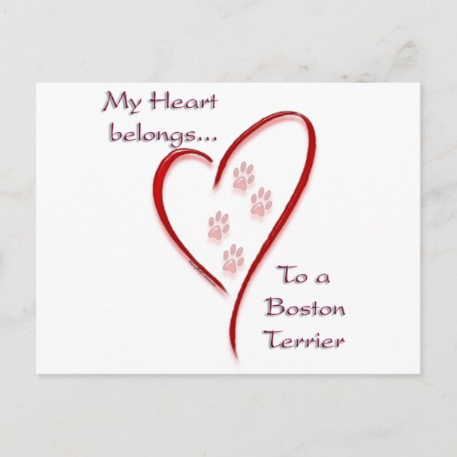 Cartão Postal Coração do Boston Terrier Pertence (Frente)