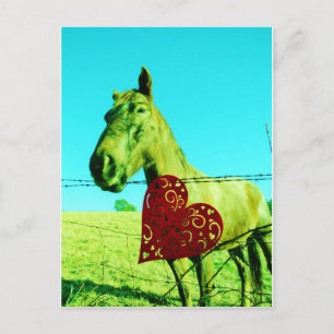 Cartão Postal Coração Vermelho e Cavalo