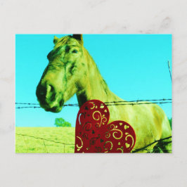 Cartão Postal Coração Vermelho e Cavalo