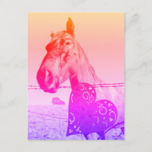 Cartão Postal Coração Vermelho e Cavalo Valinetine ou amor