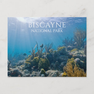 Cartão Postal Coral, Plantas Marítimas, Parque Nacional da Bisc