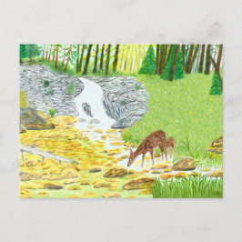 Cartão Postal Corça e cervo