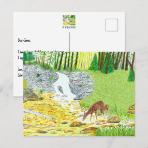 Cartão Postal Corça e Veado