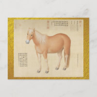 Corcel Palomino Dourado - Arte Chinesa Vintage