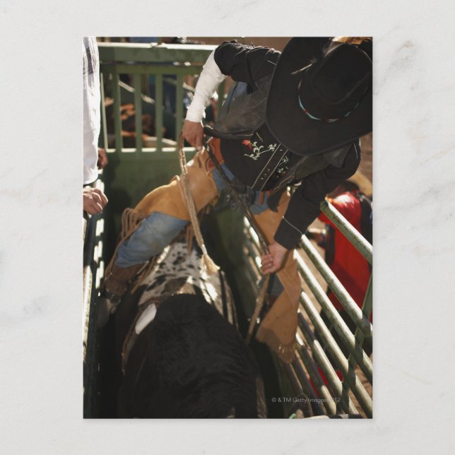 Cartão Postal Corda amarrada em touro no chute (Frente)