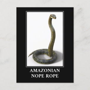 Cartão Postal Corda de Não Amazonica - Perigo de Cobra Anaconda