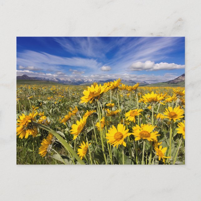 Cartão Postal Cordilheira Rochosa (Frente)