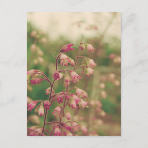 Cartão Postal Corelbells, Flores da Primavera