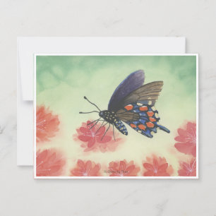 Cartão Postal Cores de água da borboleta