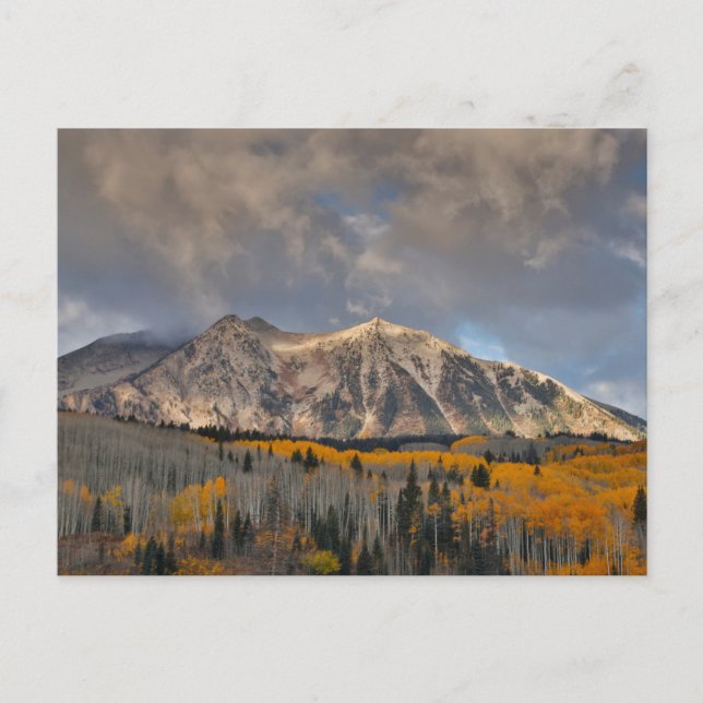 Cartão Postal Cores de Outono de Aspens, Keebler Pass (Frente)