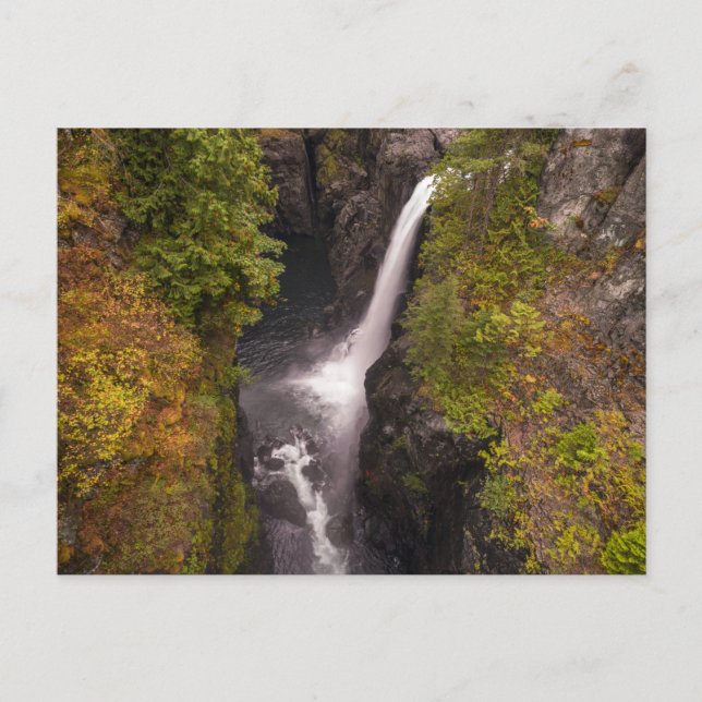 Cartão Postal Cores De Outono No Elk Cai (Frente)