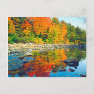 Cartão Postal Cores de outono refletidas em um riacho em Vermont