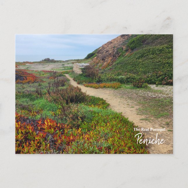 Cartão Postal Cores de Peniche- Portugal (Frente)