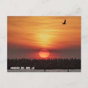 Cartão Postal Cores de Pôr do Sol Deslumbrantes - Marina Del Rey