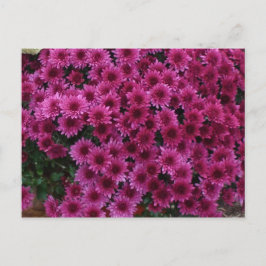 Cartão Postal Cores De Queda Do Oak Park Il.