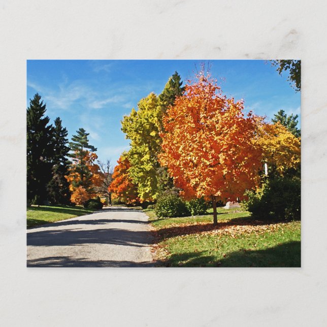 Cartão Postal Cores de queda em Cincinnati (Frente)