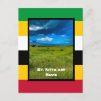 Cores de Ruas. Gatinhos