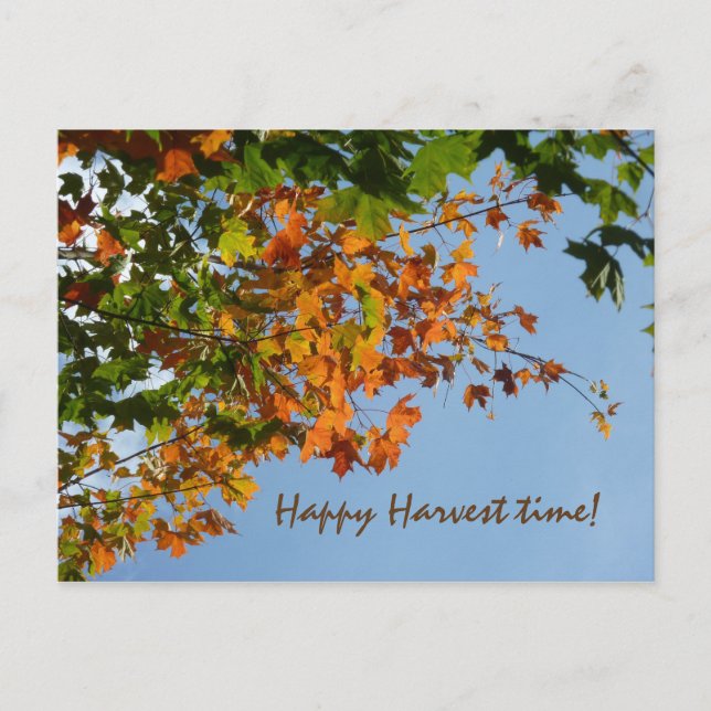 Cartão Postal Cores de setembro (Frente)