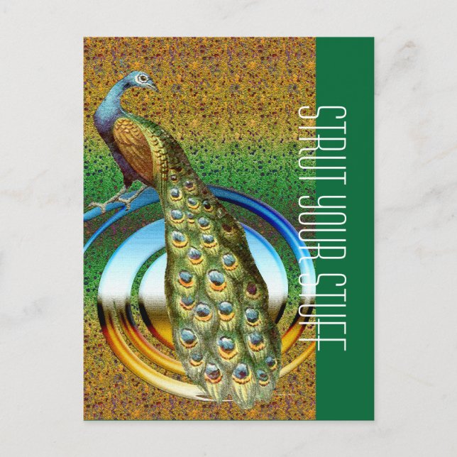 Cartão Postal Cores de um Pavão (Frente)