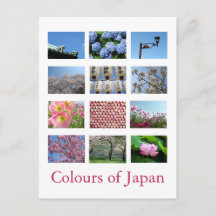 Cores do Japão (azul/branco/rosa)