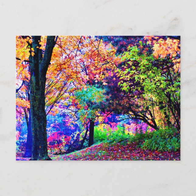 Cartão Postal Cores Fantásticas de Outono Folhas de Outono Árvor (Frente)