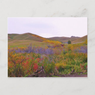 Cartão Postal Cores Montanhosas