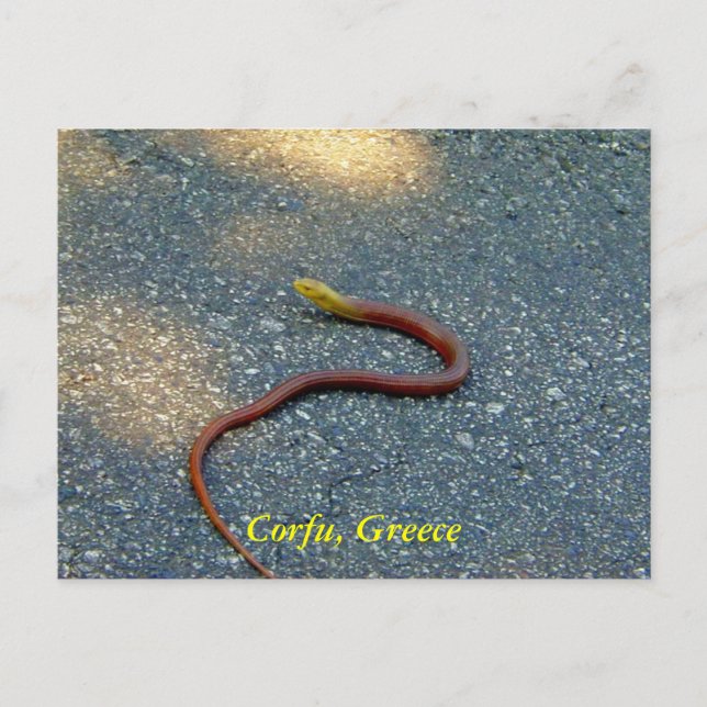 Cartão Postal Corfu, Grécia (Frente)
