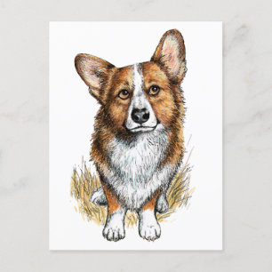 Cartão Postal Corgi e Vacas